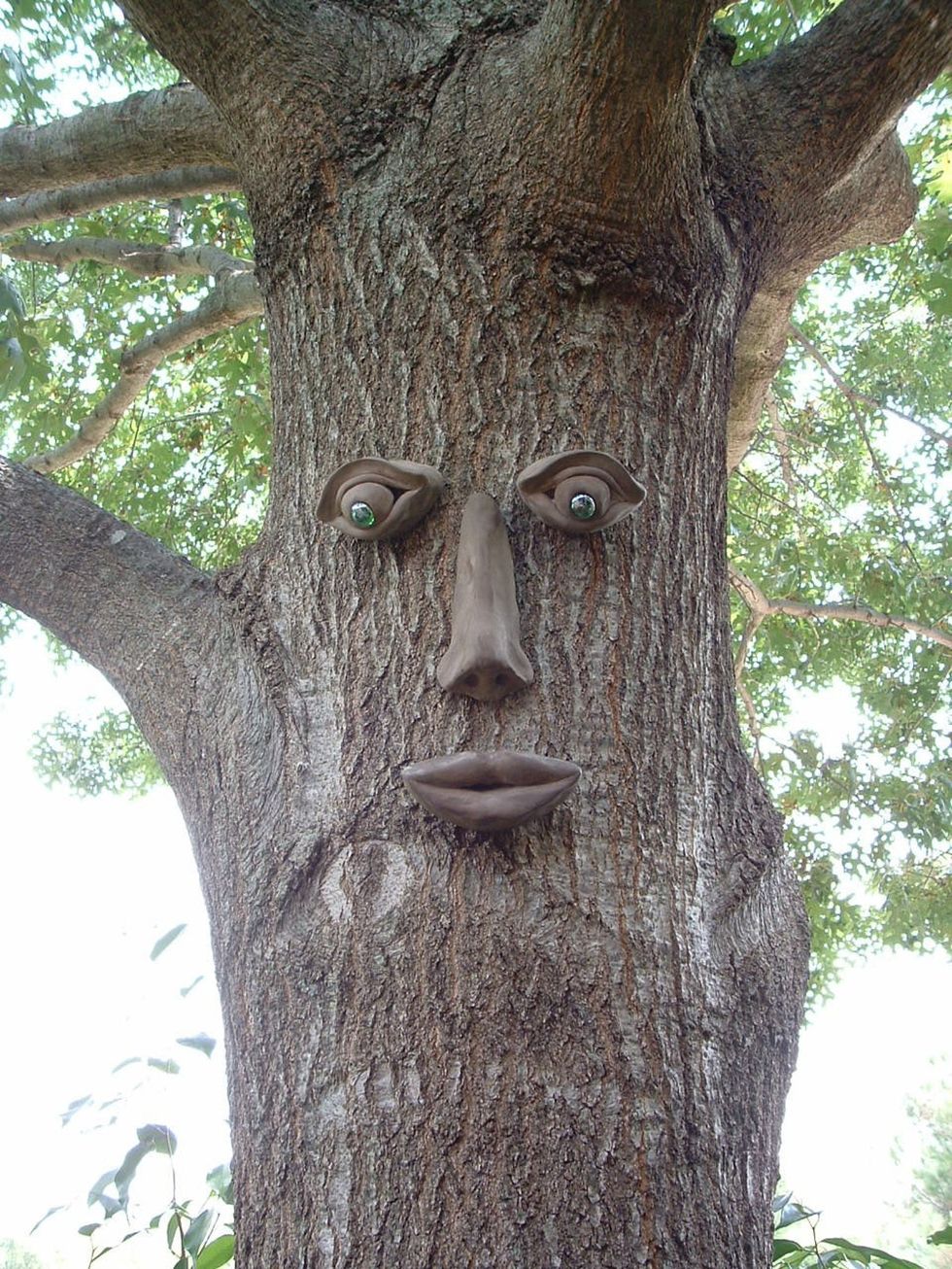 Simon Tree Face