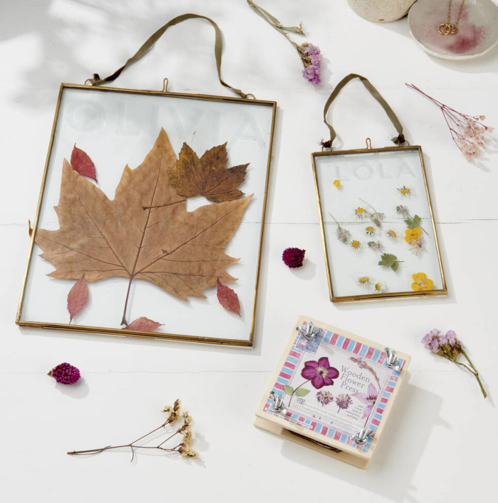 Best flower press kits to try now