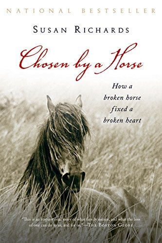 book review for horse