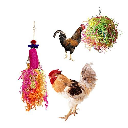 parrot toys for chickens