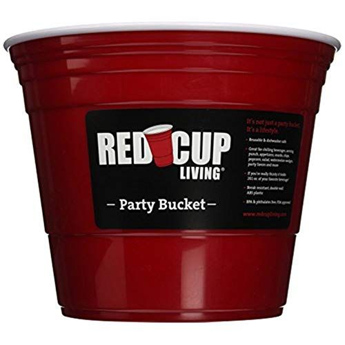 Best Ice Bucket with Frat House Charm