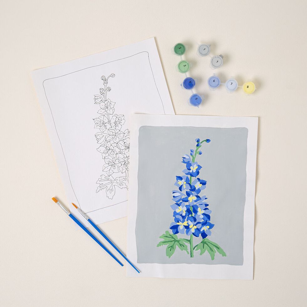 Birth Month Flower Paint-by-Number Kit