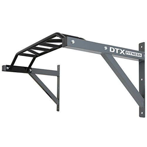 DTX Fitness  Wall Mounted Pull Up Bar