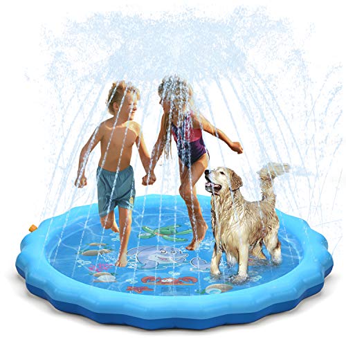 Dogs Love This QPAU Splash Pad From Amazon