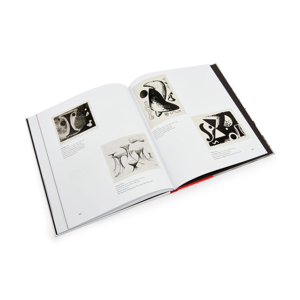 Alexander Calder: Modern from the Start - Hardcover