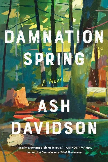 <i>Damnation Spring</i> by Ash Davidson