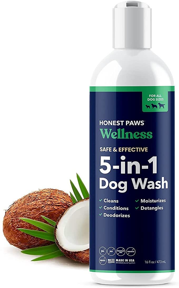 15 Best Dog Shampoos in 2022 - Best Dog Shampoos for Shiny Coats