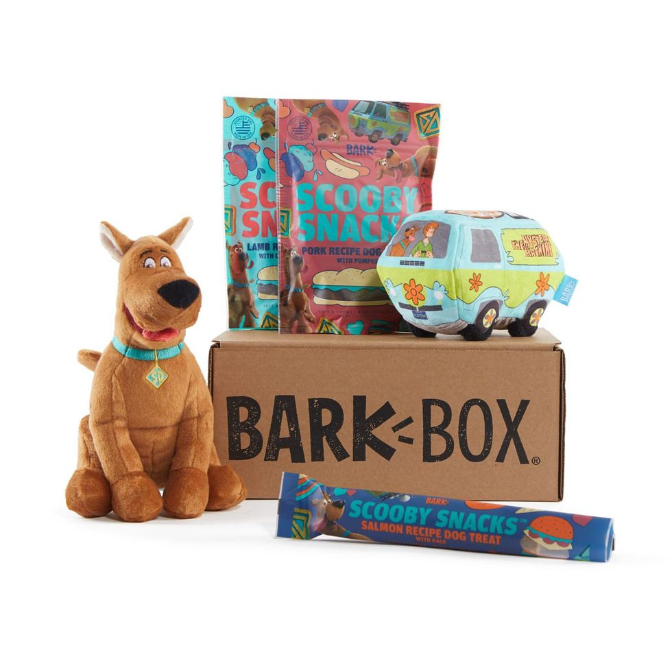 Pets Themed 90s Mystery Box Medium Themed Personalized, Cats, Dogs, 90s  Trends, Pet Mystery Box, 101 Dalmations, Scooby Doo