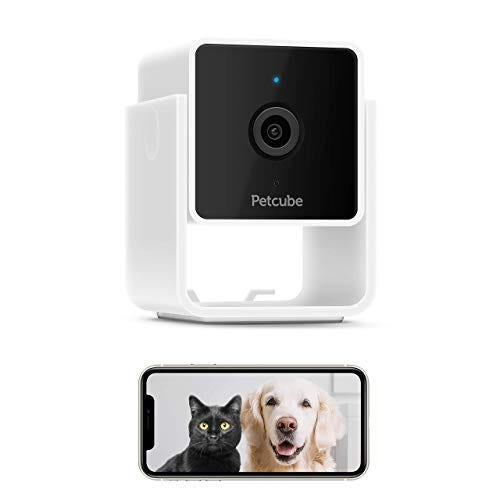 petcube coupon