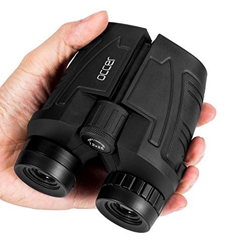 12x25 Compact Binoculars 