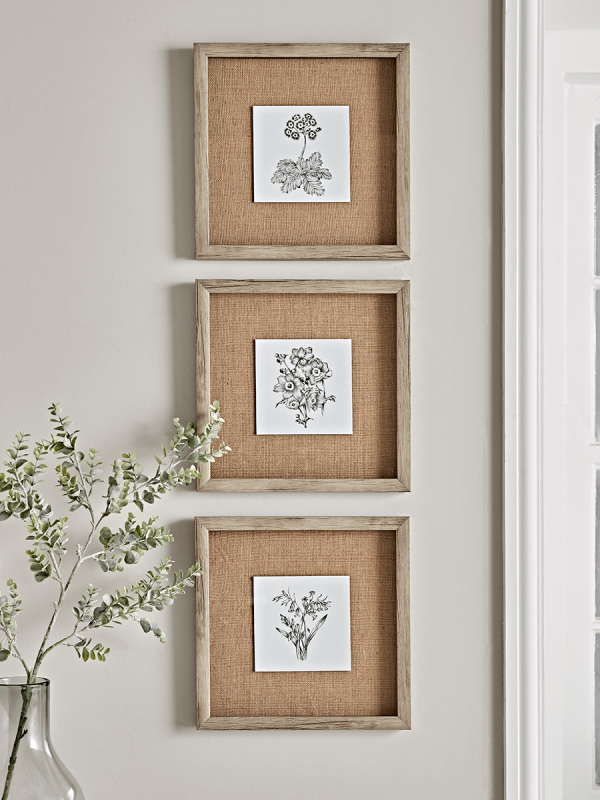 Three Botanical Sketched Prints, Cox & Cox, £55