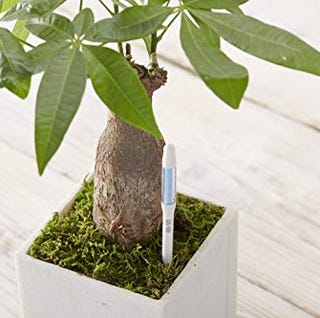 観葉植物のおしゃれな鉢 鉢カバー12選 選び方やおすすめもご紹介 観葉植物のおしゃれな鉢 鉢カバー12選 選び方やおすすめもご紹介
