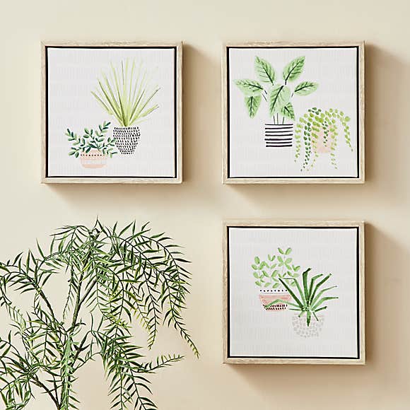 Set of 3 Plants Canvases, Dunelm, £12