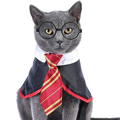 40 Best Halloween Costumes For Cats 2023 — Best Cat Costumes