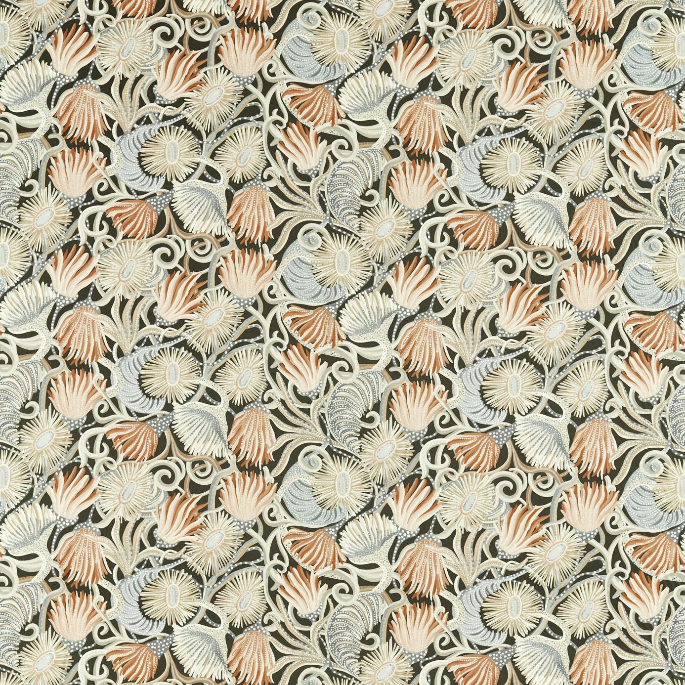 Montipora, Harrisa/ Slate/ Incense