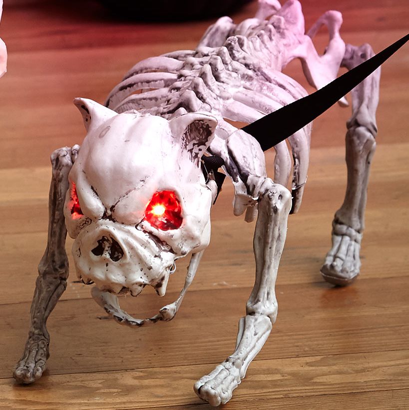 Animated Dog Skeleton