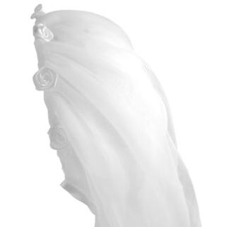 Lace Party Veil