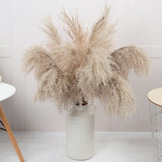 Natural Pampas Bouquet