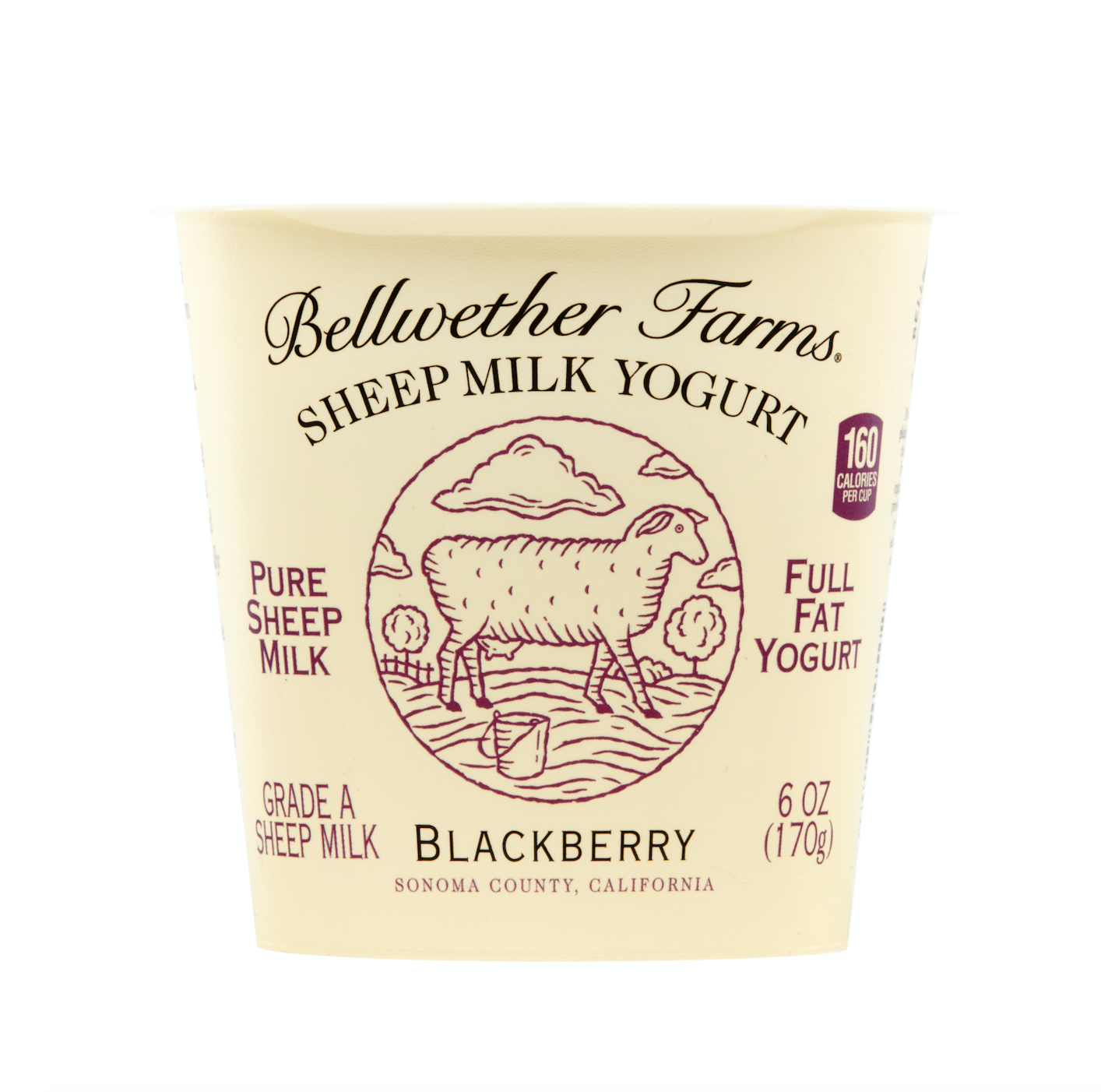 Sheep's milk. BLACKBERRY Yogurt. Sheep Milk. Bellwether. Sheep Milk Scrub.