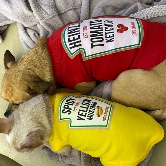 Matching Condiments Dog Costume