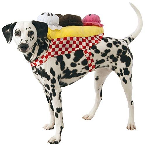 Funny dog costumes｜TikTok Search