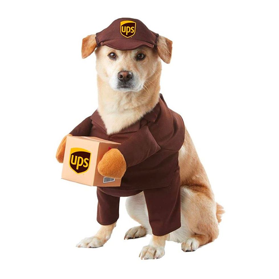 Delivery Person Dog Costume
