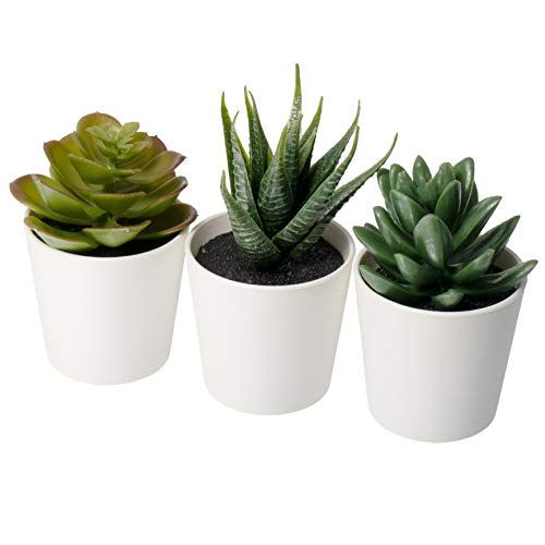 IKEA FEJKA Mini Artificial Succulent Desk Plants in Pots 6 Centimetres (3 Pack)