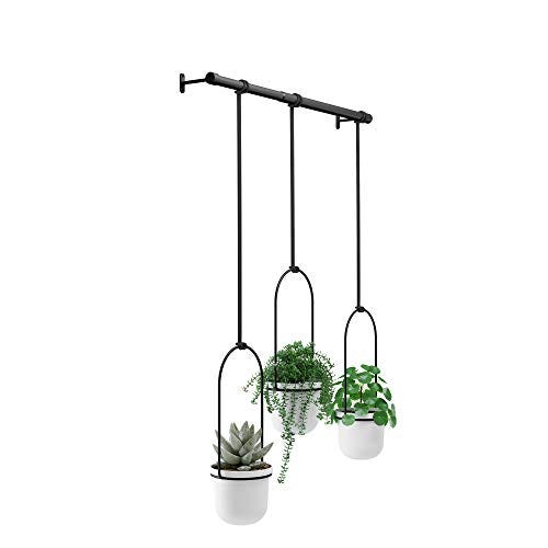 Umbra Hanging Planter Set