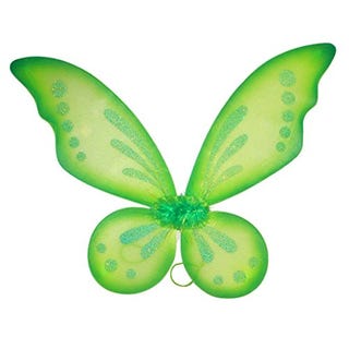 Green Sparkling Fairy Princess Wings