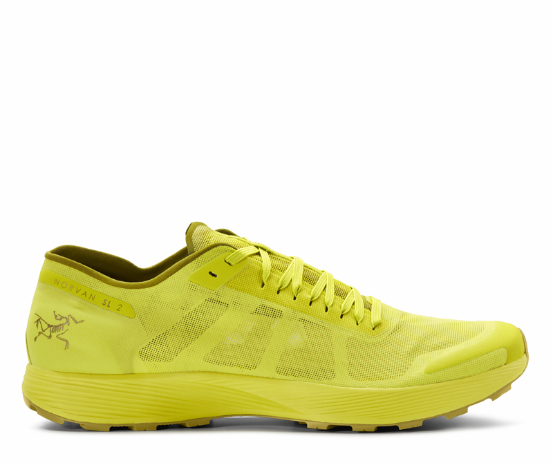 Indefinito Collettivo Noce zero drop running shoes carezza etnico cicatrice