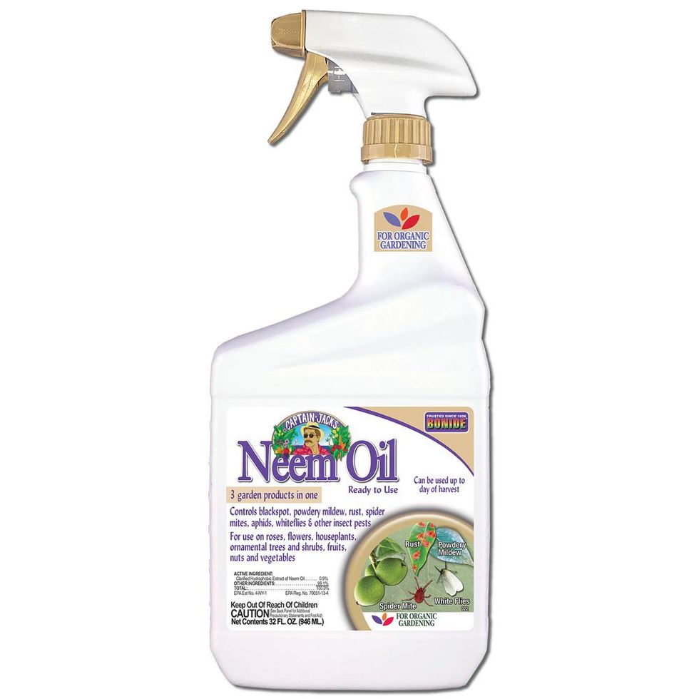 Neem Oil Insect and Disease Control