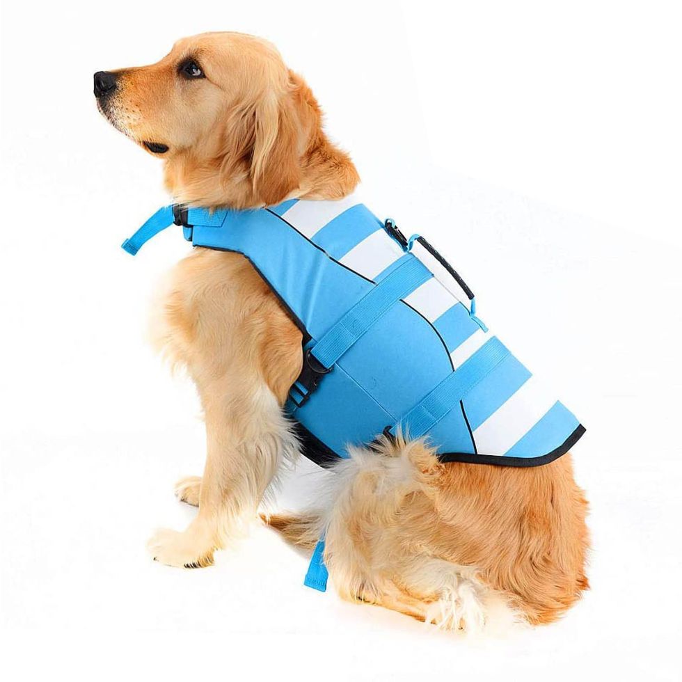 High Visibility Dog Life Vest