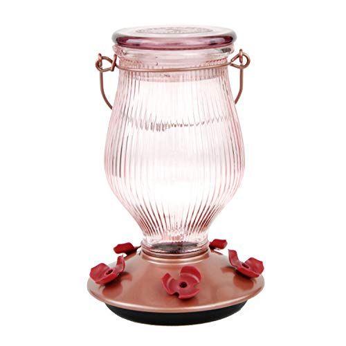 Perky-Pet Rose Gold Top-Fill Glass Hummingbird Feeder 