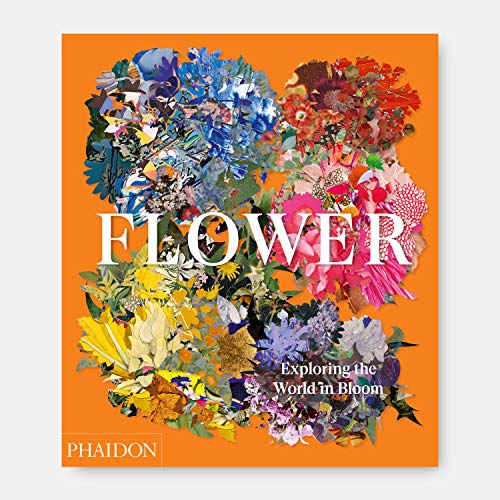Flower: Exploring the World in Bloom