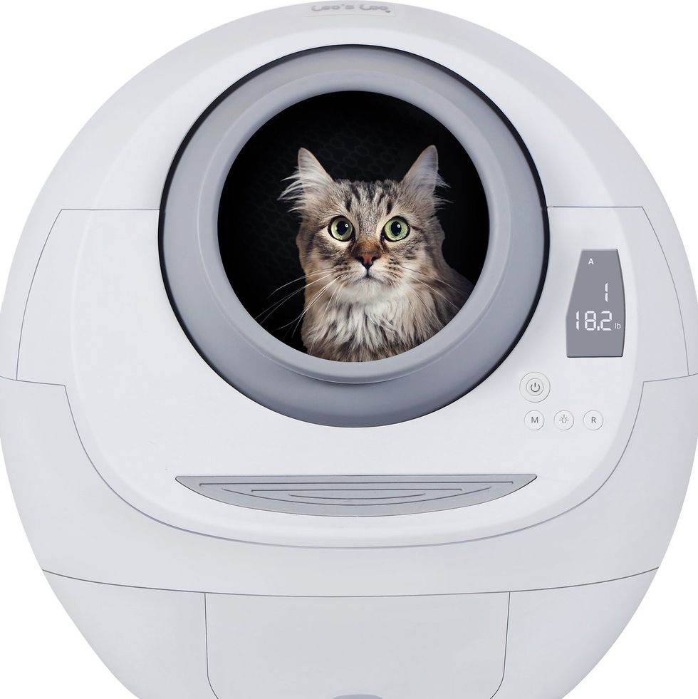 Runesay Self-Cleaning Cat Litter Box Multiple Cats Scooping Automatically Litter Odor Removal App Control Support 5G 2.4g Wi-Fi CATLITTER-JH