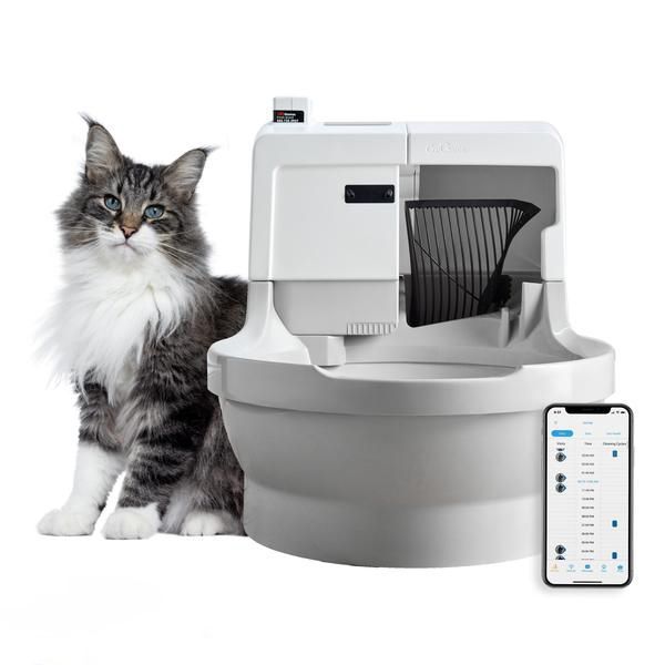 Best Self-Cleaning Litter Boxes 2023 - Tested Automatic Litter Box Review -  Forbes Vetted