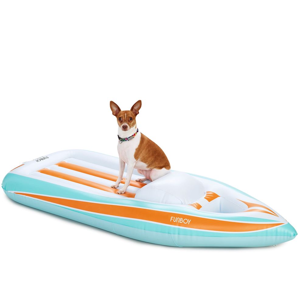 Yacht Dog Float