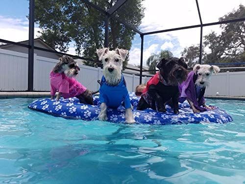 Dog proof sales pool float