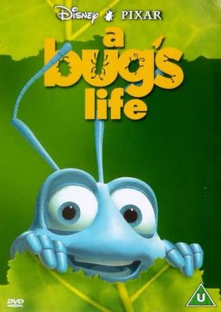 Das Leben eines Käfers