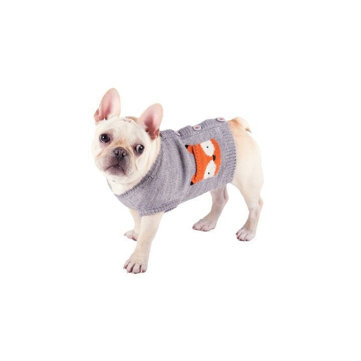 Cute dogs hot sale in sweaters