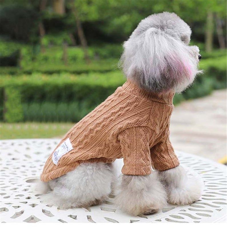 fluffy dog sweater