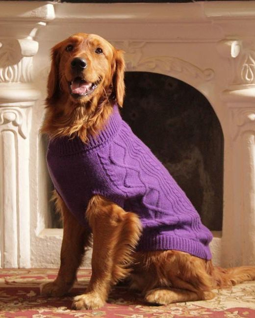 Everest Doggo Sweaters