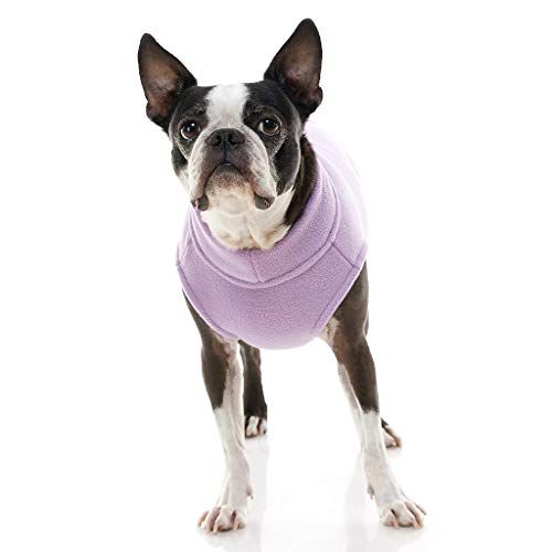 best dog sweaters for small breeds