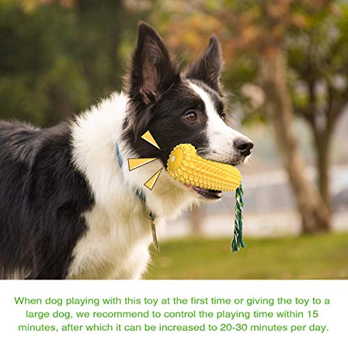 what are the best chew treats for dogs