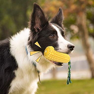 Carllg Dog Chew Corn Stick Toy