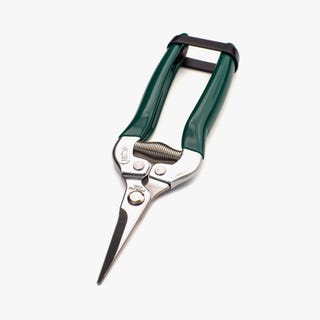 Plant Snips Plant Snips
