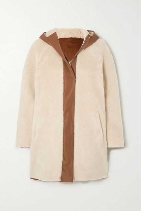 21 Best Teddy Bear Coats For Fall 2021, How To Stop Teddy Coat From Shedding