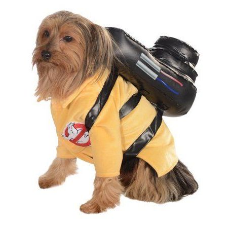 Cute pet costumes for Halloween