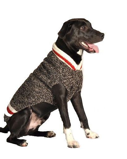 Dog Sweaters So Cute You'll Want to Wear Them!