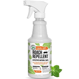 Cockroach Repellent